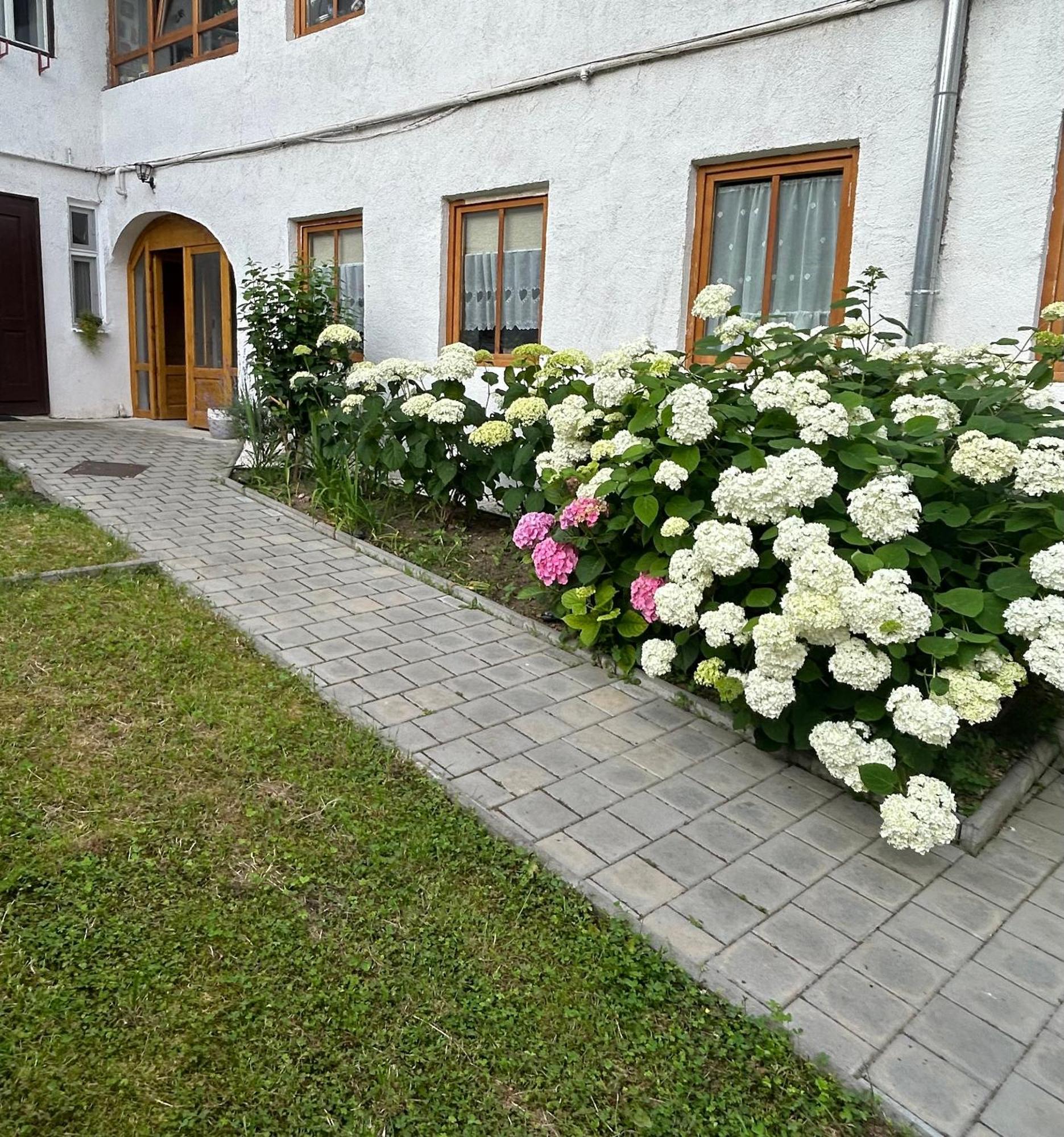 סיביו Stone Way Apartment מראה חיצוני תמונה